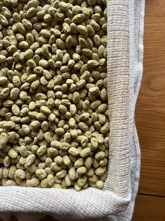 3/5(木)薬膳たまり味噌作り